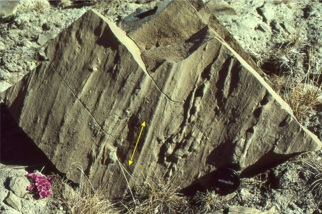 Groove and skip casts on the sole of a sandstone bed.