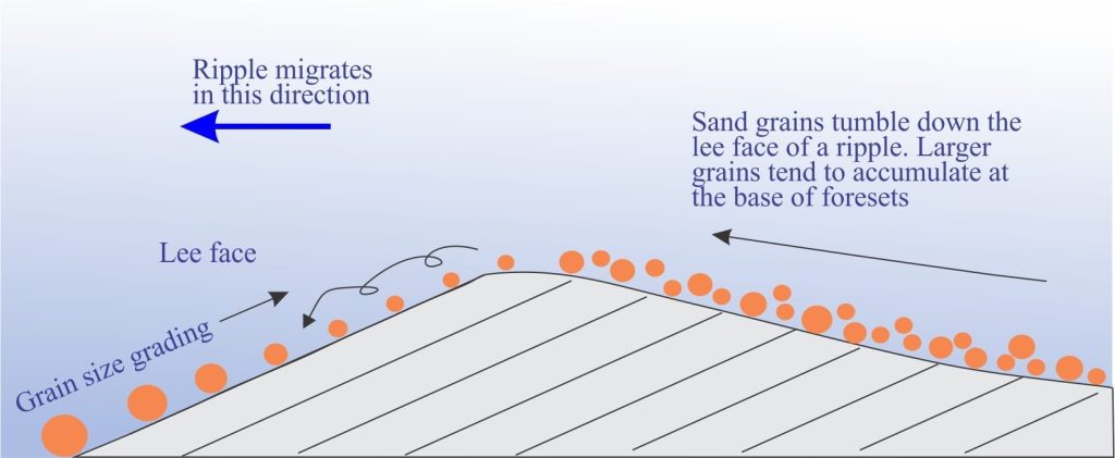 Diagramatic cross-section of a ripple during its formation
