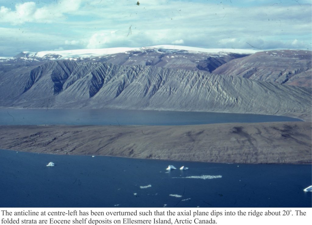 Recumbent anticline in Arctic Cenozoic strata