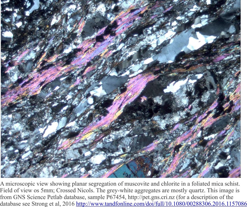 Thin section view (crossed polars) of mica segregation in schist that results in cleavage