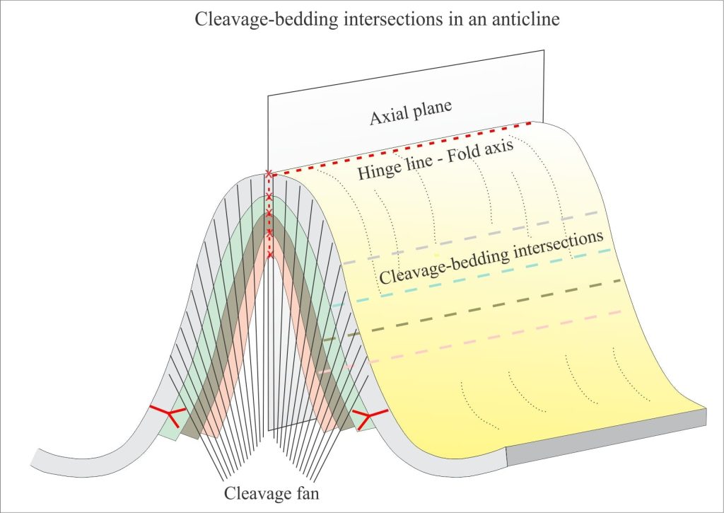 Diagram of cleavage fan intersections with bedding in an anticline