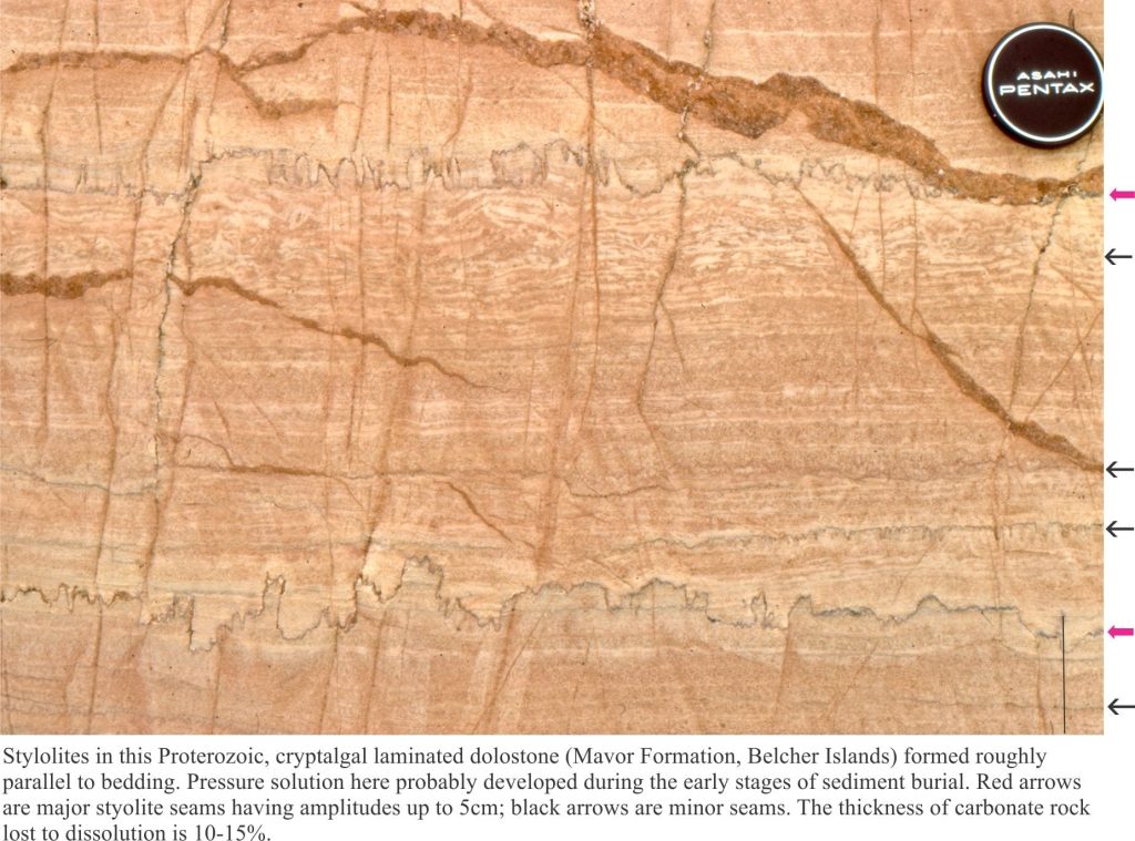 Stylolites formed during pressure solution of dolomitic laminated mudstone