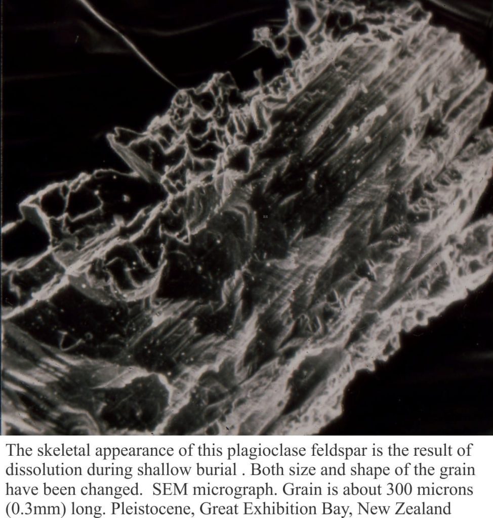 SEM micrograph of skeletal plagioclase, with advanced dissolution during shallow burial.