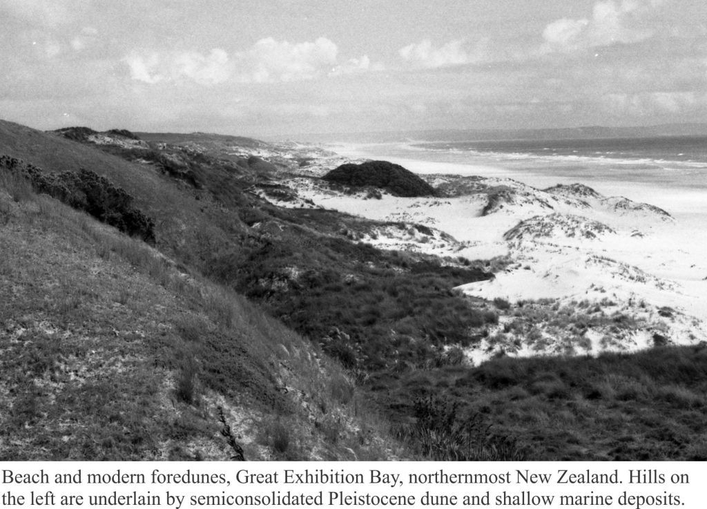 Modern beach and foredunes along northernmost NZ Pacific coast, Parengarenga.