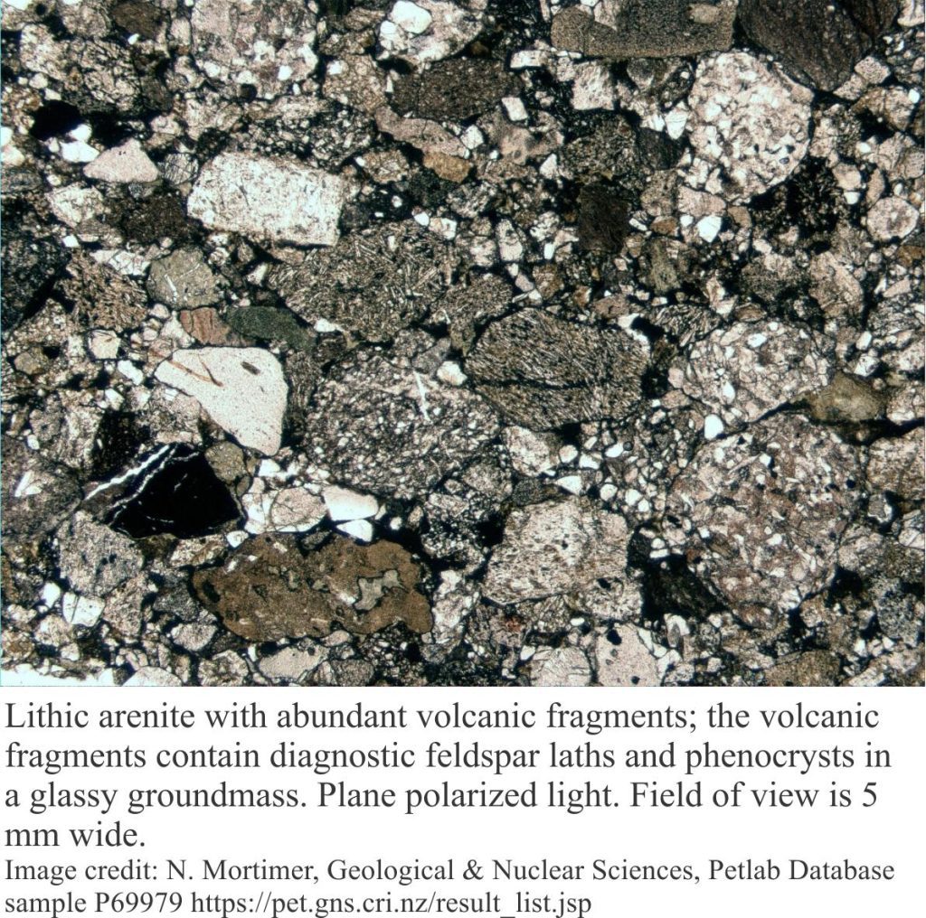 Thisn section of a lithic arentite having abundant volcanic fragments
