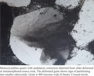 Thin section of quartz grain with undulose (strained) extinction. Crossed polars.