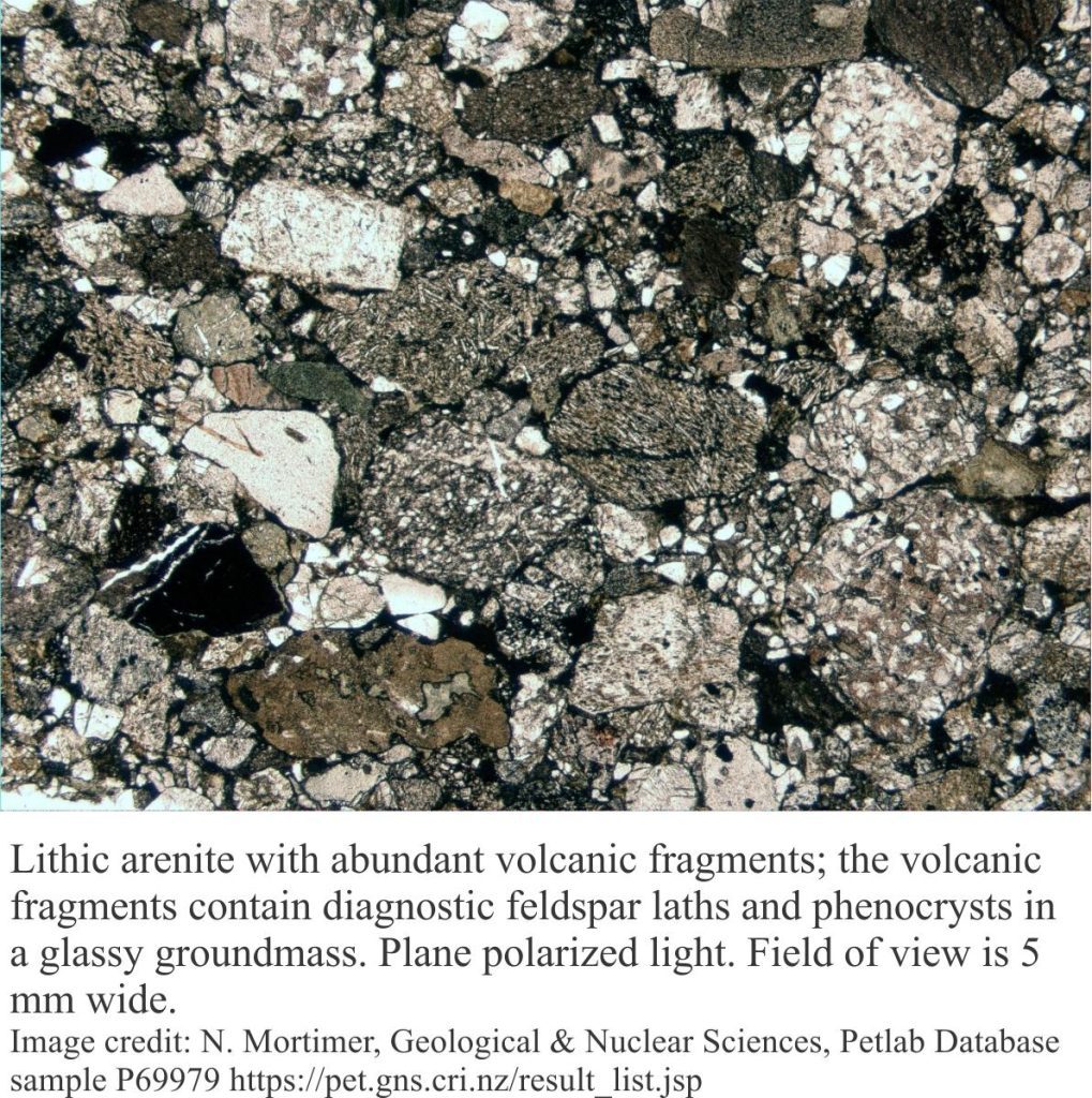 Lithic arenite with abundant volcanic clasts