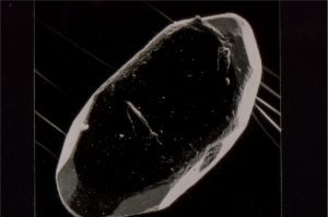 detrital zircon from Pleistocene dune sands, northern NZ. Note relatively sharp crystal faces