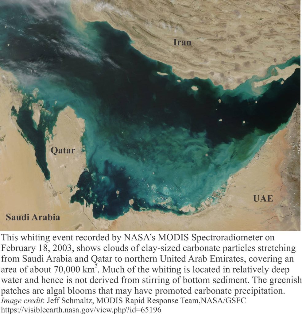 Extensive whitings of suspended carbonate particles off the coast of Qatar, plus a greenish algal bloom.