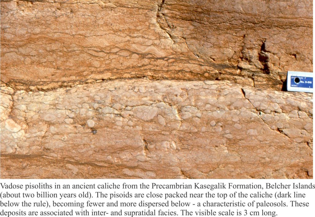 Vadose pisolite in a Proterozoic supratidal calcihe, Belcher Islands
