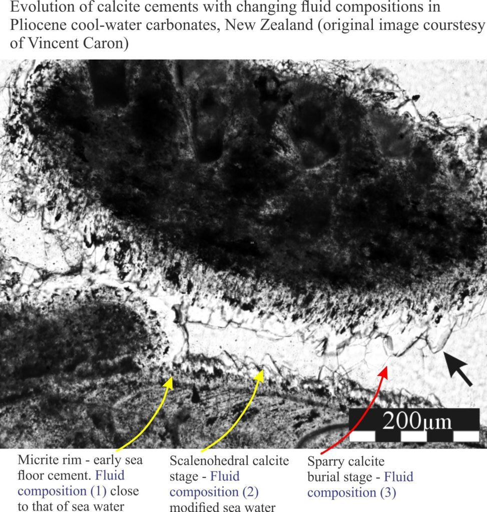 Evolution of cements and fluid chemistry in a cool-water limestone, NZ.