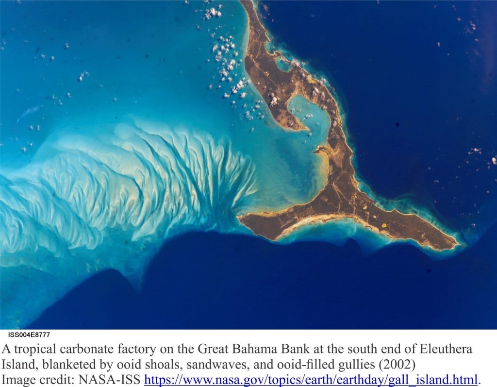 Ooid shoals on Great Bahama Bank off Eleuthera Island - an International Space Station image