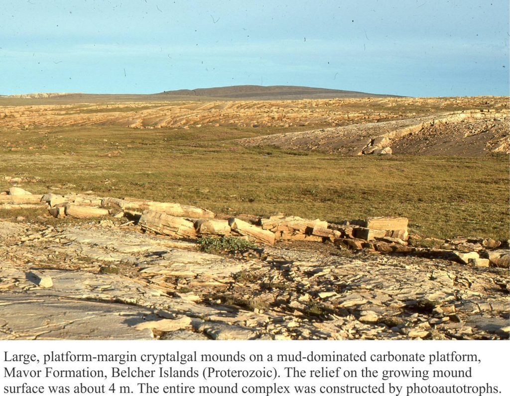 Precambrian stromatolitic mud mounds, Belcher Islands
