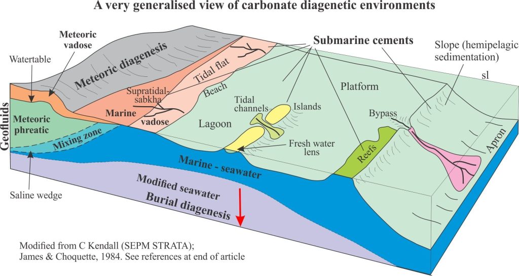 Diagram of carbonate diagenetic environments featuring meteoric, vadose, submarine, and burial diagenetic realms