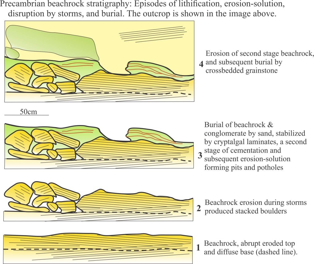 Diagram of episodic beachrock lithification and erosion, based on the image immediately above