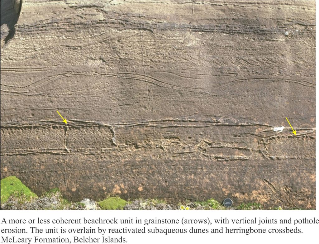 Proterozoic beachrock slabs in crossbedded grainstone, partly in-situ, plus eroded blocks; tops indicated by arrows