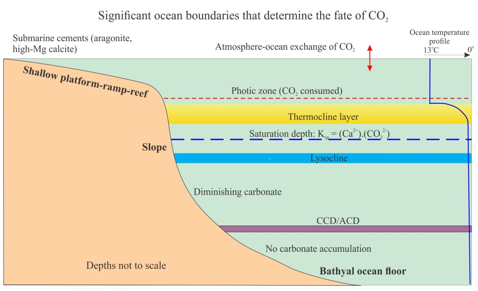 aragonite compensation depth ACD Archives Geological Digressions