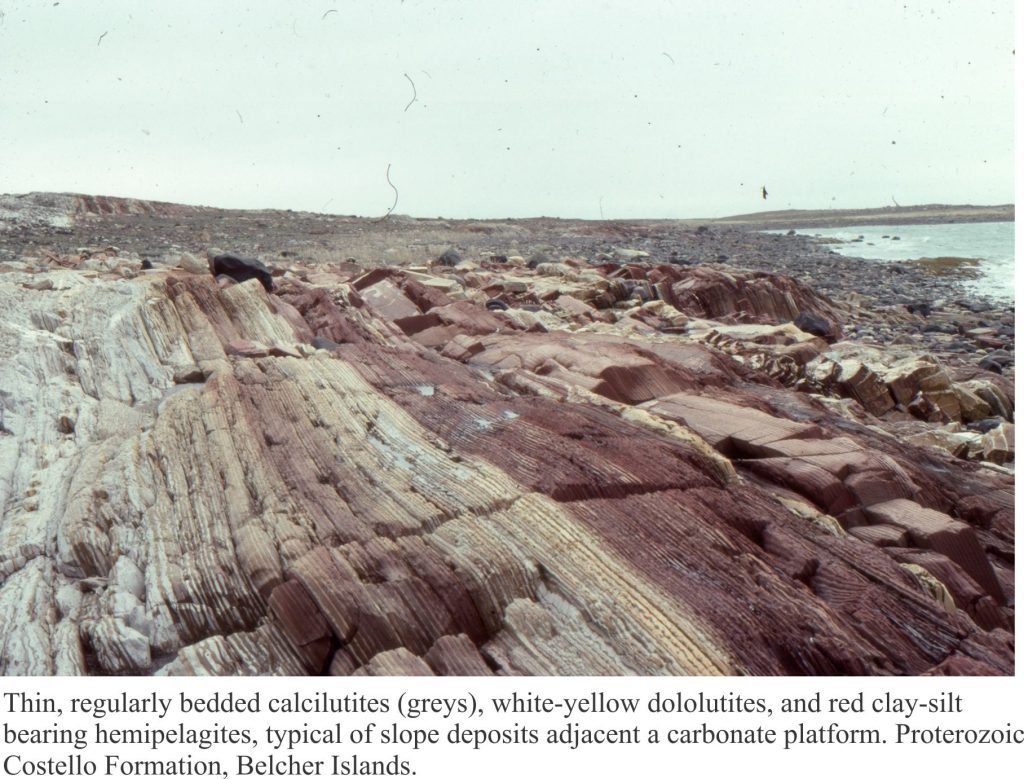 Thin bedded slope rhythmites in calcareous and dolomitic mudstone
