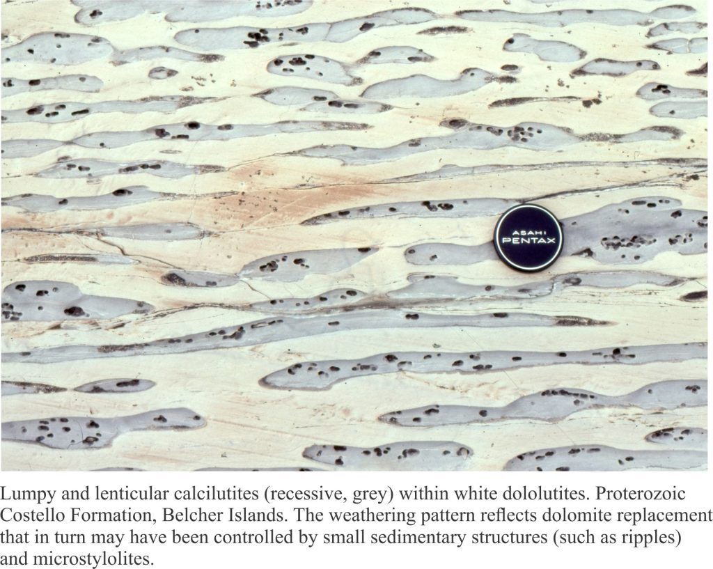 Lenticular alteration patterns in calcareous slope rhythmites. The more resistant white segments are dolomitic; the recessive units are calcitic.