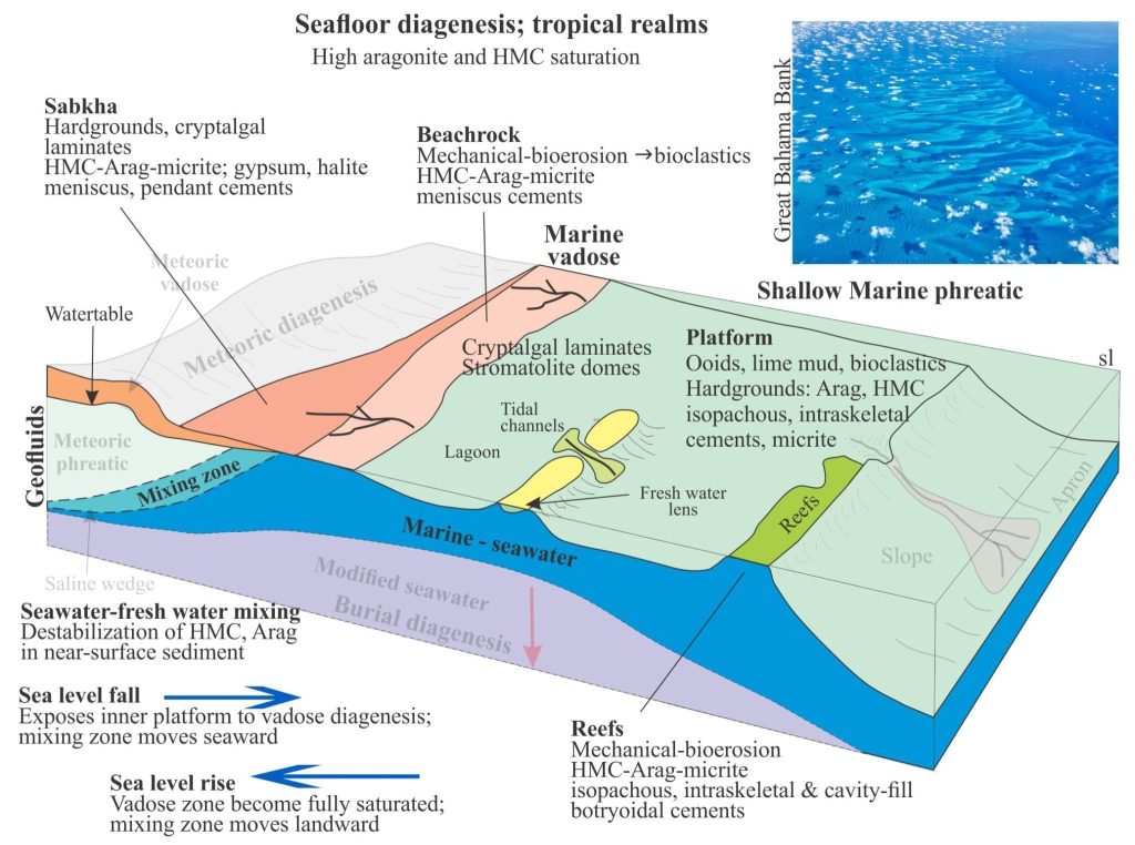 Diagram of tropical seafloor cementation environments extending from the marine vadose to reef and outer slope environments