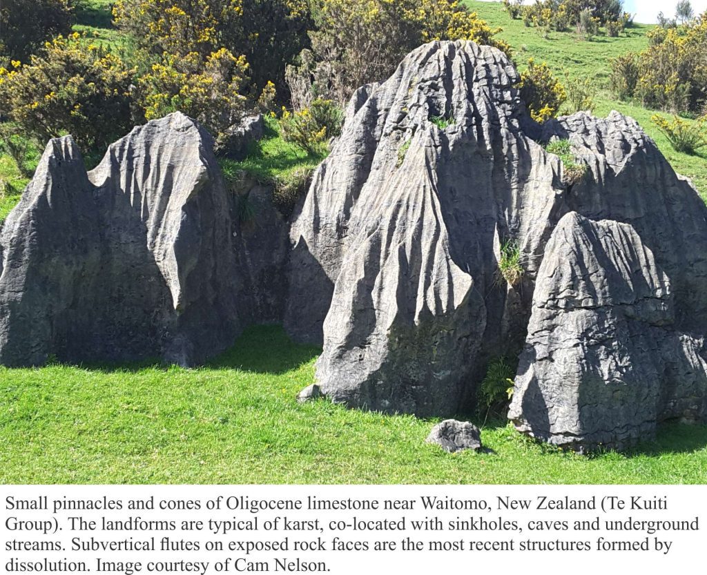 Pinnacle karst in Oligocene Te Kuiti Gruop limestone, Waitomo, NZ