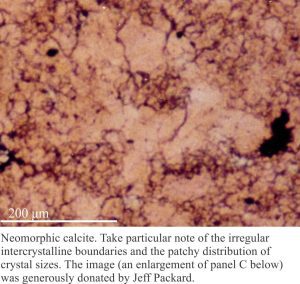 Thin section image of neomorphic calcite showing irregular intercrystal boundaries and gradtion in crystal size