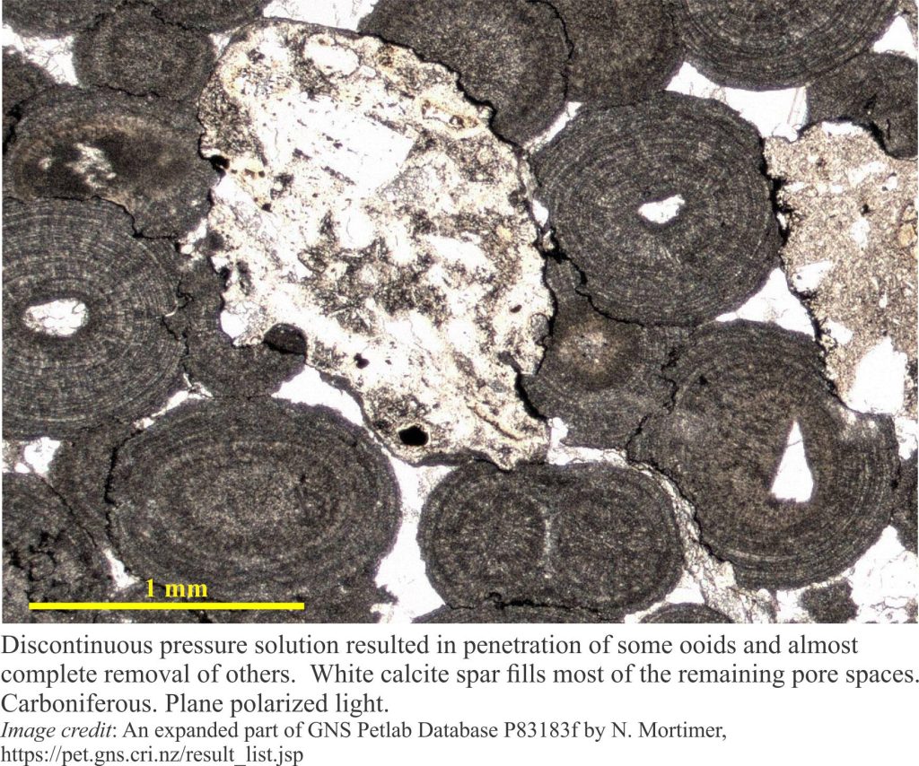 Pressure solution in ooid grainstone; single and compound ooids. Note the interpenetration stylolites.