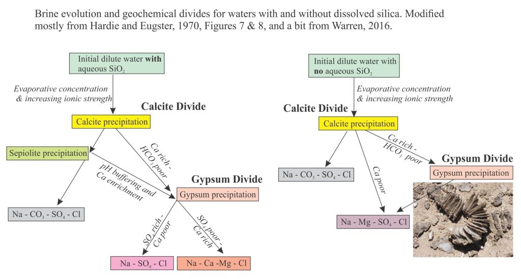 Schema for brine evolution pathways, showing the calcite and gypsum divides