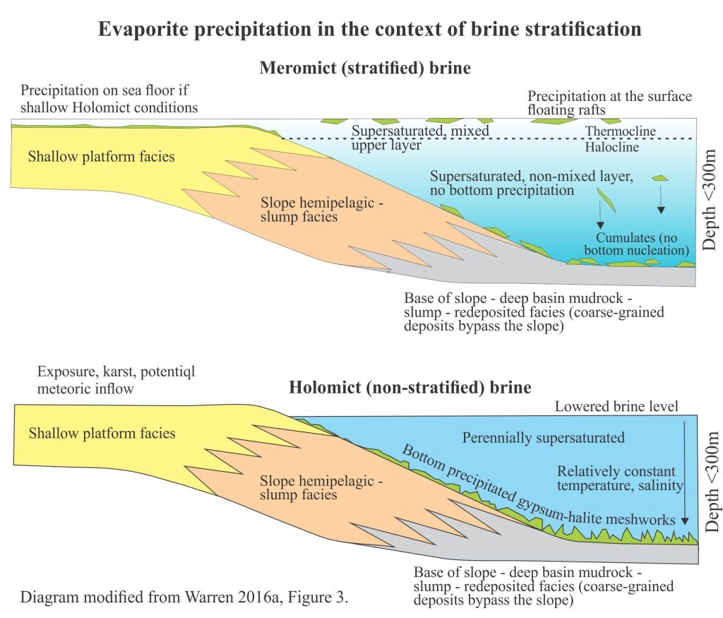 Diagram showing evapourite precipitation in the context of marine brine stratification