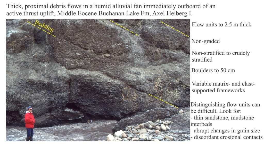 Thick debris flows in an Eocene humid alluvial fan