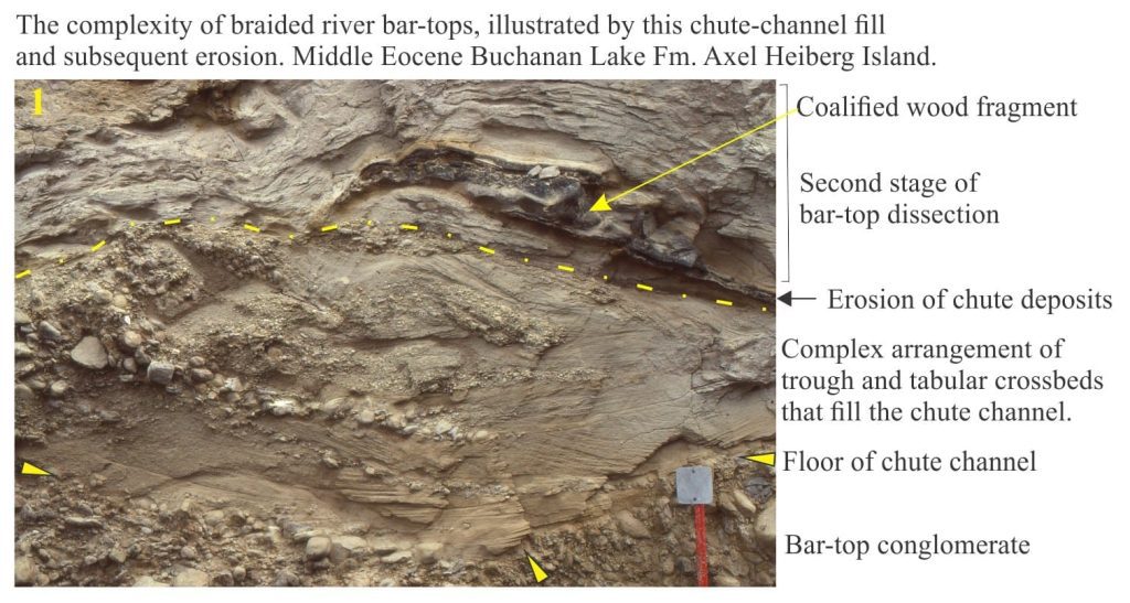 Braided river bar top sandstone, chute and fill deposits, Eocene, Axel Heiberg I.