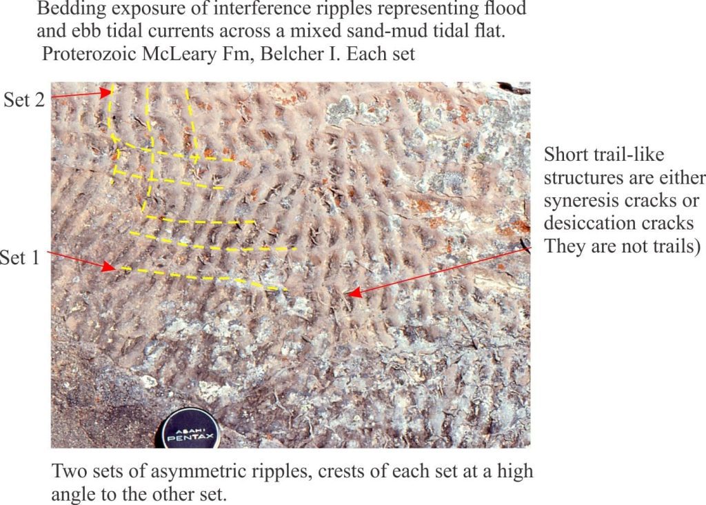 Interference ripples and incipient mud cracks, Paleoproterozoic tidal flat deposit