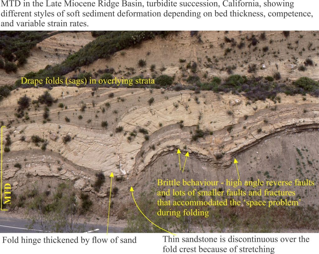 MTD Ridge Basin, synsedimentary faults, fold thickening