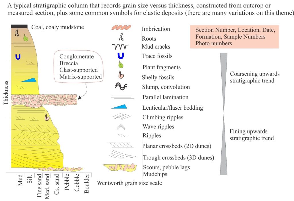 Typcial stratigraphic column, drawn against grain size, plus common symbols