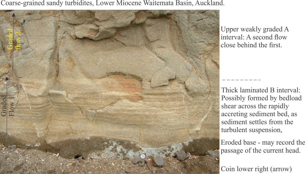 Coarse sandy turbidite, A,B Bouma disivisons, Waitemata Basin