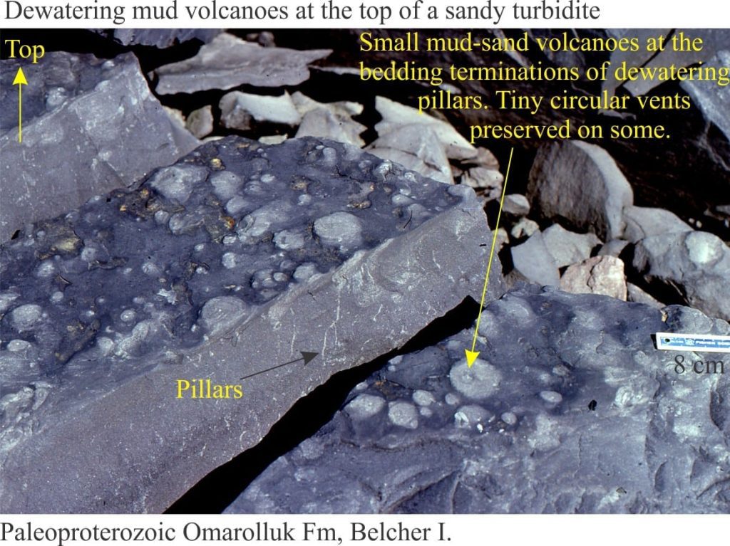 Bedding view of small mud volcanoes formed during dewatering of a turbidite
