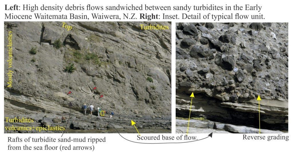 Volcaniclastic debris flows in Miocene Waitemata Basin, NZ, also containing rafts of ripped up turbidite sandstone