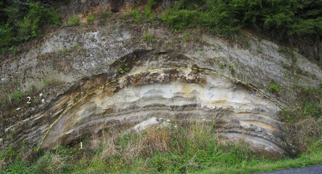 Airfall tephras draping pre-existing topography accumulated during two eruption episodes (1 and 2), separated by an angular discordance caused by erosion of episode 1 layers. Outcrop is about 2 m high. Southwest Lake Rotoma.