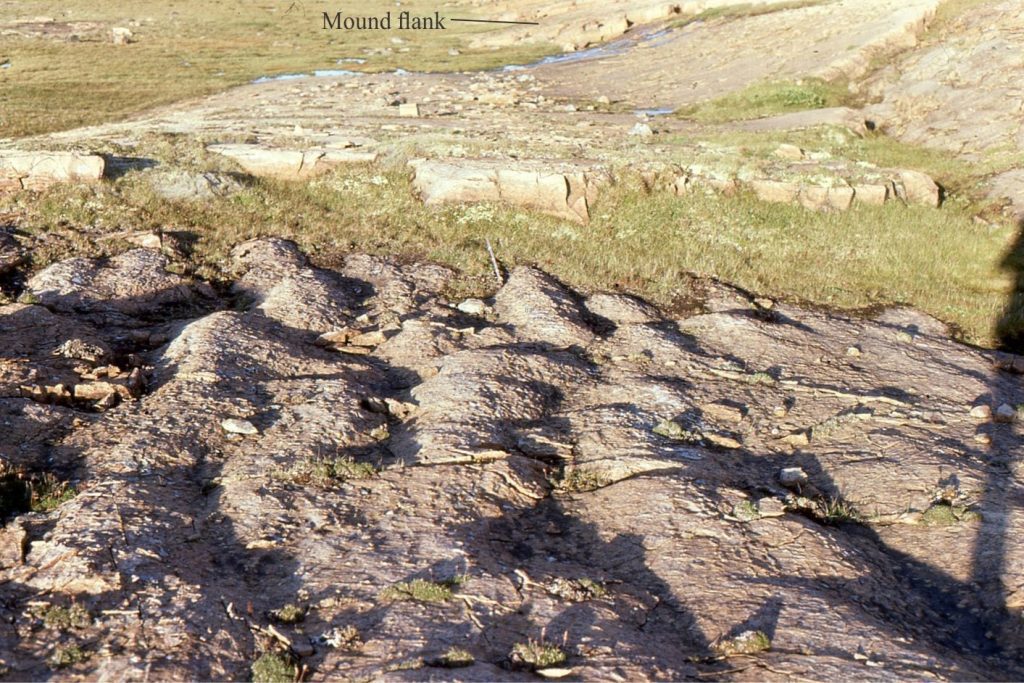 Small mounds commonly adorned the crests and flanks of the high relief structures. Their elongation directions parallel the trend of the larger mounds. Jacob’s Staff (centre) is 1.5m long. Eastern Tukarak Island.
