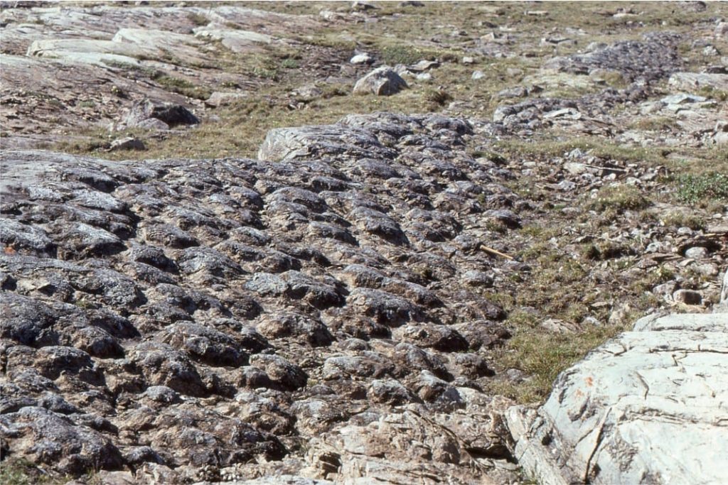 Exhumed stromatolite domes