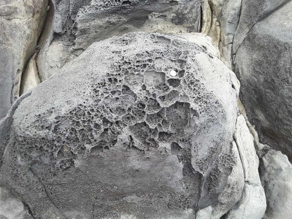 Honeycomb weathered pockets and pits on exposed basalt spheroids. Pliocene, NZ