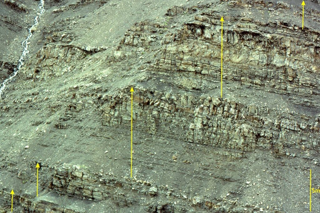 Packages, or cycles of shale through sandstone, each a few metres thick, are repeated 5 times over about 35m in this outcrop view. Arrows indicate the base and top of each cycle. The example is from Bowser Basin, northern British Columbia.