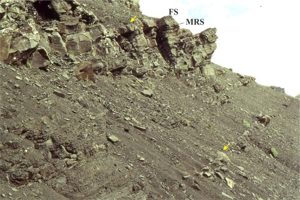 Coarsening-upward shelf parasequence, Bowser Basin. The cycle top and base are indicated by arrows. Hummocky crossbedding and the transgressive, condensed, calcareous mudstone are shown in separate images.