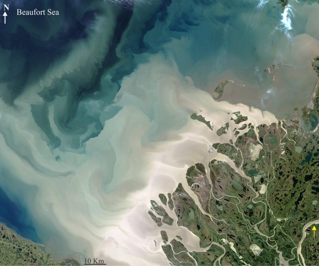 A stunning Landsat 8 image of part of Mackenzie delta where it enters Beaufort Sea (July 19, 2017). From the trunk river (yellow arrow), numerous distibutary channels move bedload and suspended sediment to the sea. Coarser sediment accumulates near the coastal margins; finer sediment is carried in plumes 10s of km beyond he coast.