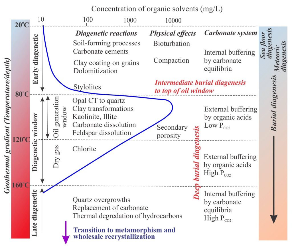 An example of the value of knowing paleotemperature profiles in sedimentary basins. The chart shows commonly observed diagenetic reactions in relation to burial temperatures and changes in fluid composition represented here by the production of organic solvents that influence pH. The depths at which reactions begin and end will depend on the local geothermal gradient. Modified from Surdam et al. 1989.