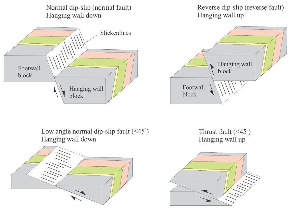 A schematic of common high and low angle dip-slip faults through dipping strata.