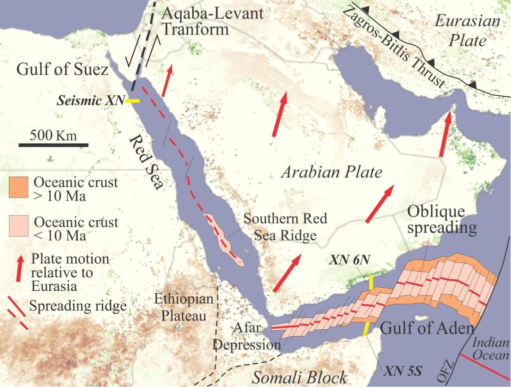 Red Sea and Gulf of Aden rift domains. The Red Sea rift axis merges south with a nascent spreading ridge. Sea floor spreading in Gulf of Aden is diachronous with oceanic crust older than 10 Ma at its eastern limit. The pattern of fracture zones and spreading ridge offsets is consistent with oblique spreading and the relative motion of Arabia. Location of the seismic profiles (below) is indicated. Data from Bosworth, 2015. 