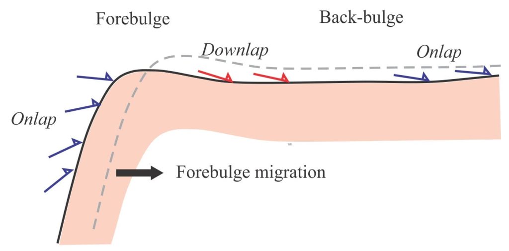 Typical apout relationships of stratigraphic units across the forebulge and back-bulge depozones. Changes in the location of the bulge with the flexural wave will result in unconformities across most stratigraphic surfaces.