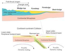 Basin Geometry Basins formed by lithospheric flexure - Geological Digressions