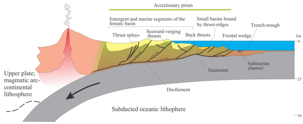 An accretionary prism and forearc basin above a subducting slab of oceanic lithosphere, with a magmatic arc as structural backstop (or buttress) and the main source of sediment.